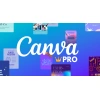 Canva Pro 2